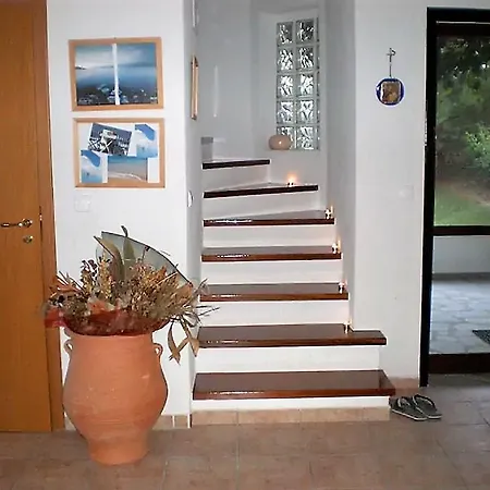 Maisonette With Garden *
