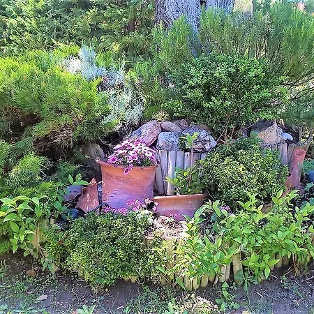Casa de Férias Maisonette With Garden Skála Foúrkas